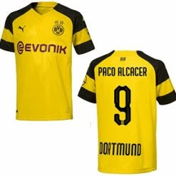 Puma Borussia Dortmund Trikot 9 Paco Alcacer 2018/19 BVB Evonik Gelb Herren M (B-Ware)