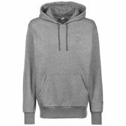 Puma Booster Kapuzenpullover Herren