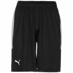 Puma Basketball Game Shorts Herren