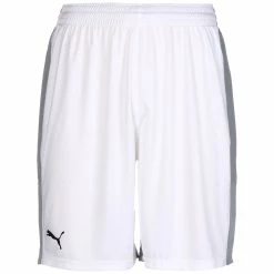 Puma Basketball Game Shorts Herren