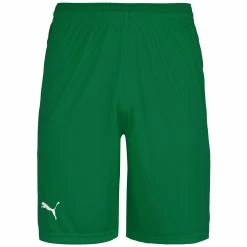 Puma Basketball Game Shorts Herren