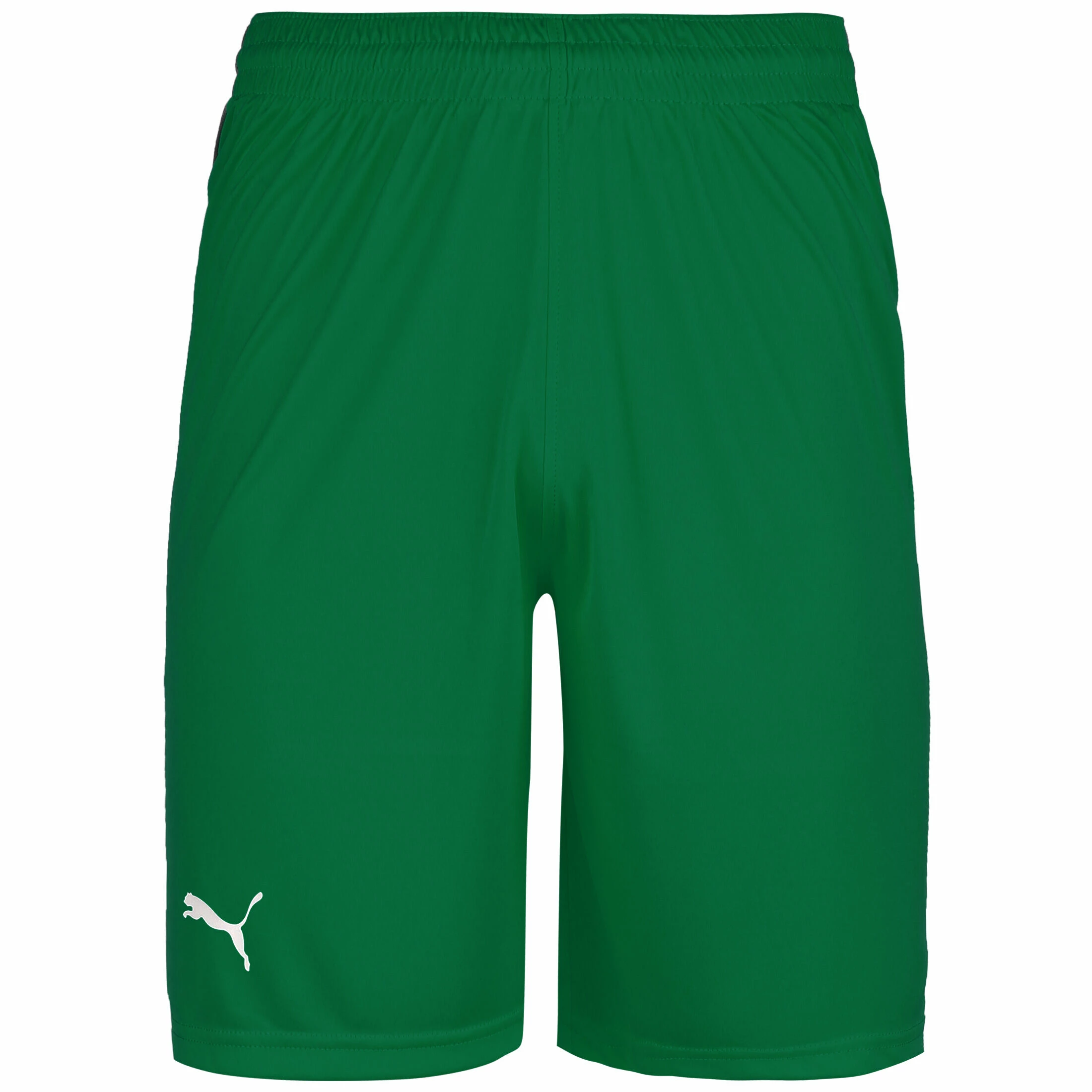 Puma Basketball Game Shorts Herren