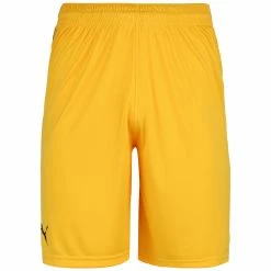 Puma Basketball Game Shorts Herren