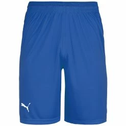 Puma Basketball Game Shorts Herren