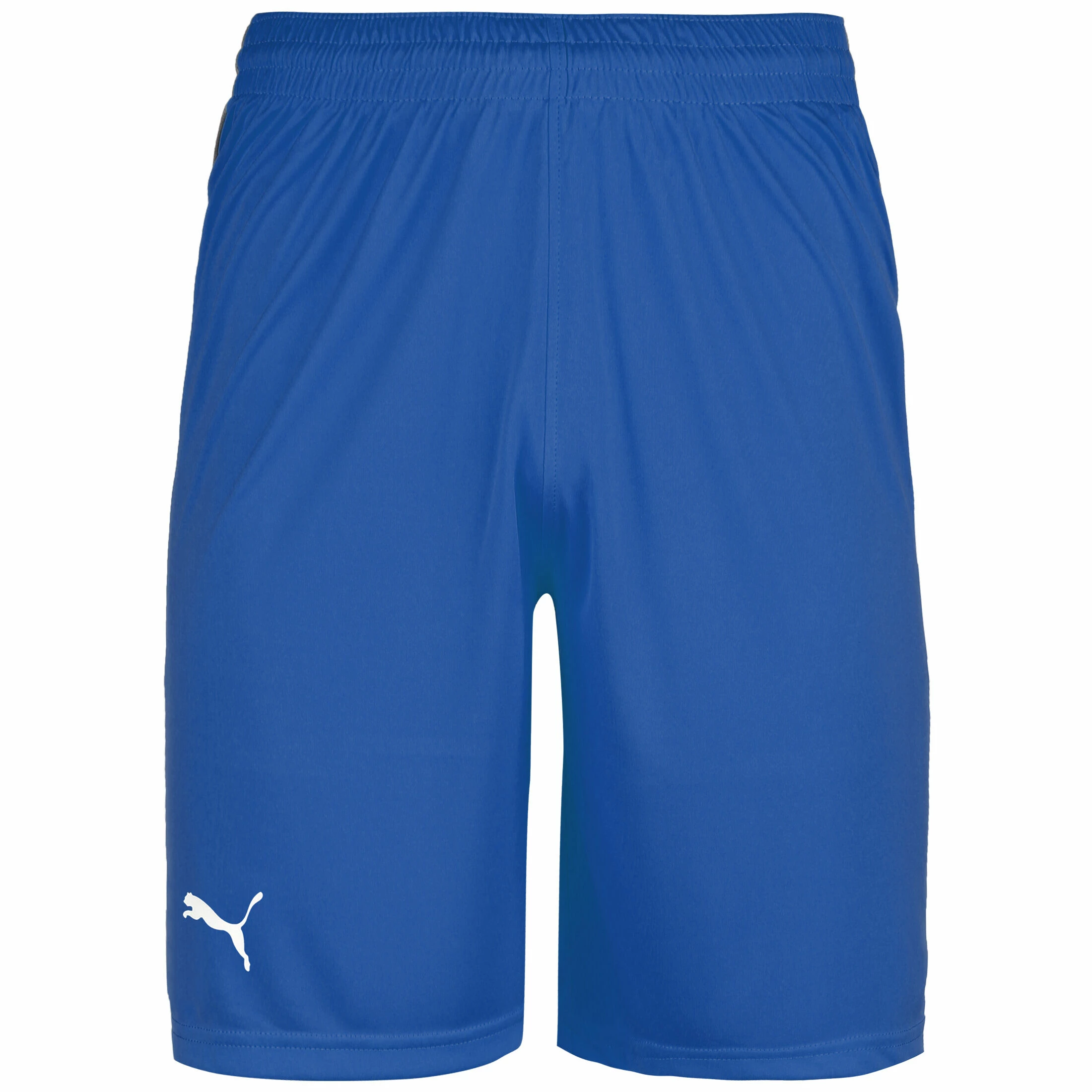Puma Basketball Game Shorts Herren