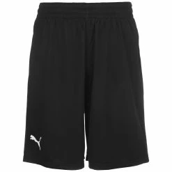 Puma Basketball Practise Shorts Herren
