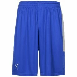 Puma Basketball Game Shorts Herren