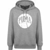 Puma Fundamentals Kapuzenpullover Herren